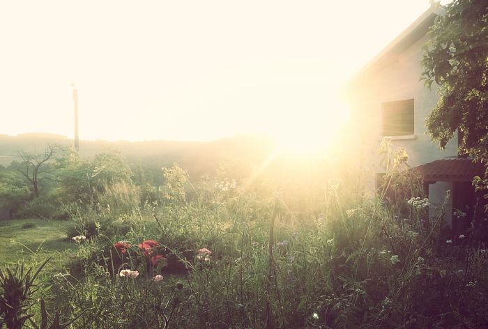 just a moment – 29 june’14