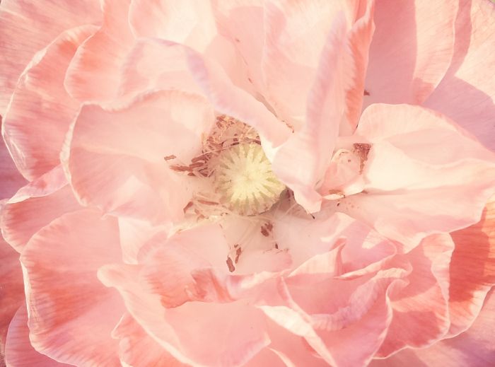 just a moment – 5 july’14