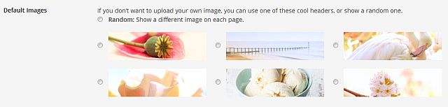 Default header images in the Simplicity WordPress theme