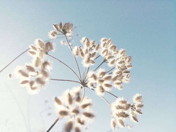 Just a moment – 18 oct ’14