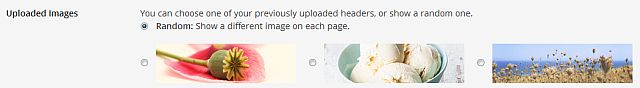 Setting a random header image in WordPress