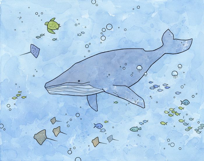 whale whale