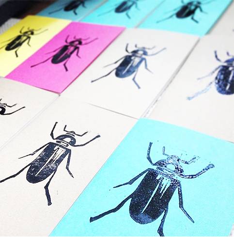 beetles