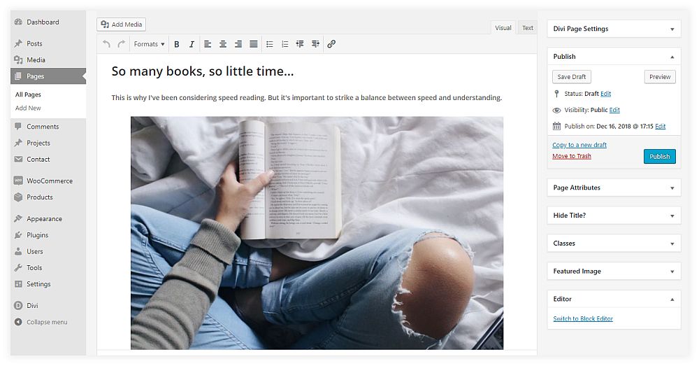 classic WordPress editor classic WordPress editor