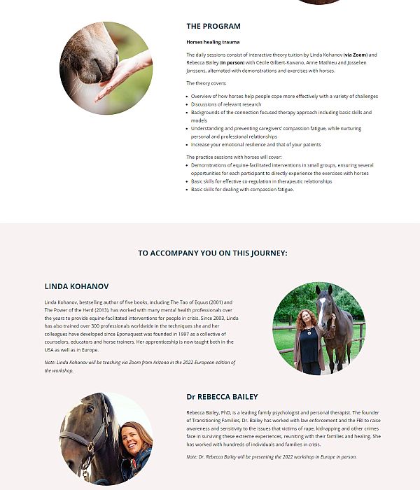 Horse Healing trauma 3