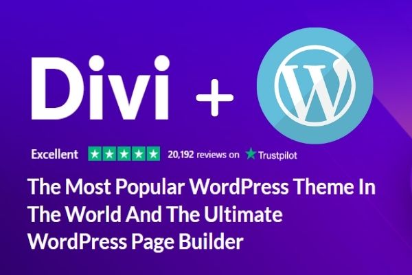 Divi and WordPress flexibility