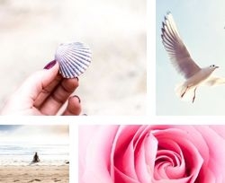 Free image library 2022
